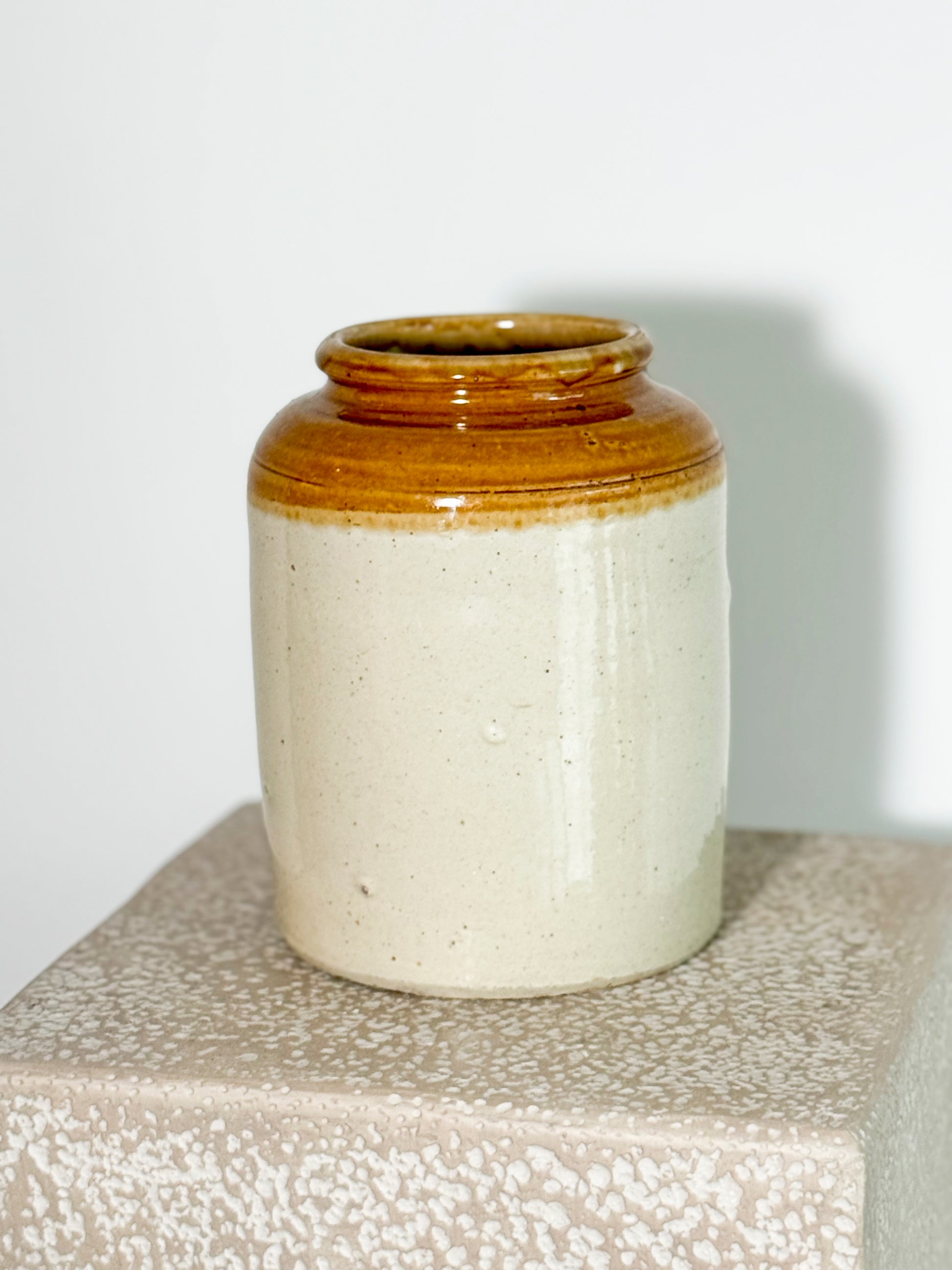 antique or vintage salt-glazed stoneware jar, originally used for preserves, pickles, or food storage.