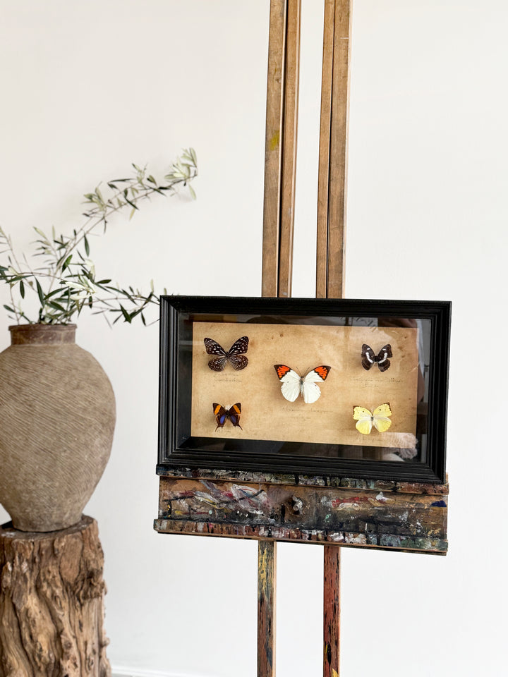 antiques London	
homeware shop London
interior styling objects London and Sussex
antique sourcing UK	
curated antiques	
antique homeware / antique homewares	
decorative antiques	
art and objects	
timeless home decor found objects decor
vintage home accessories
antique art	