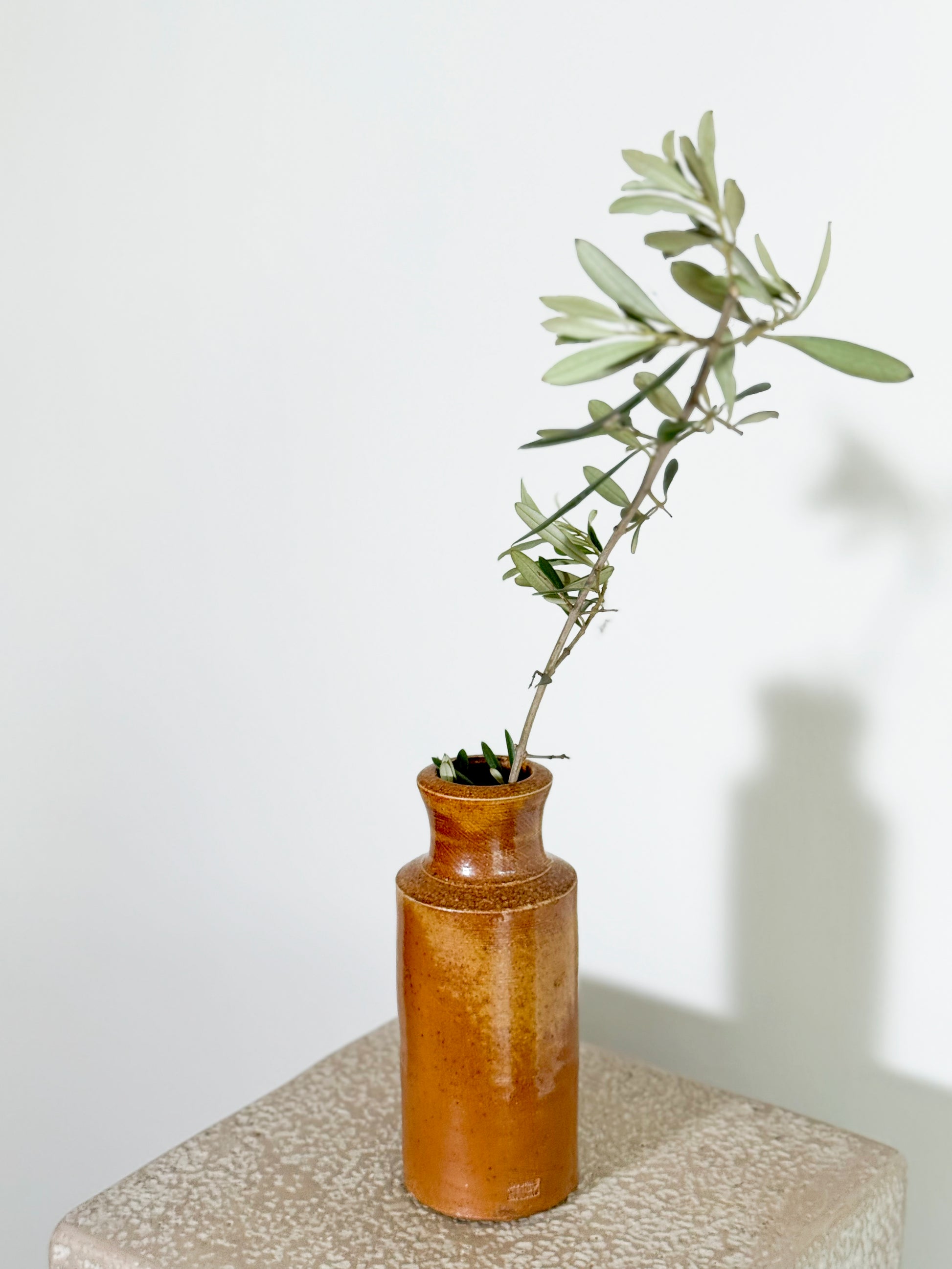 Vintage Ceramic Stoneware Bottle