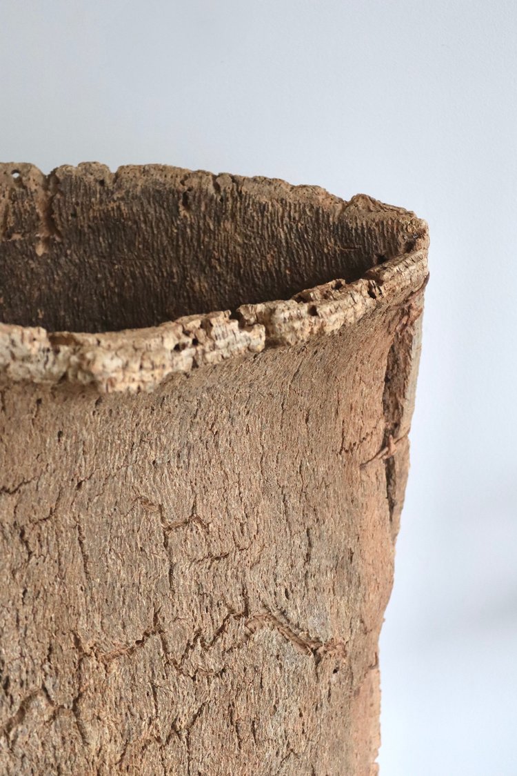 Close-up of a textured brown pot on a light gray background