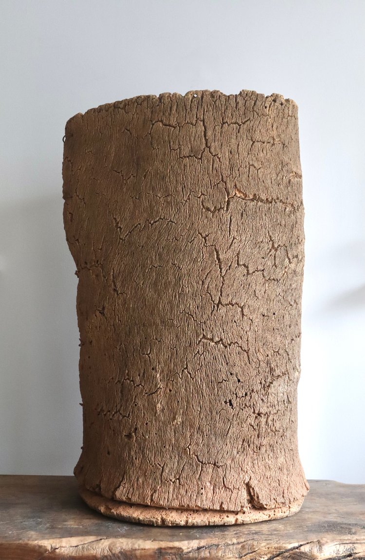 Textured brown cylindrical object on a wooden surface with a white background