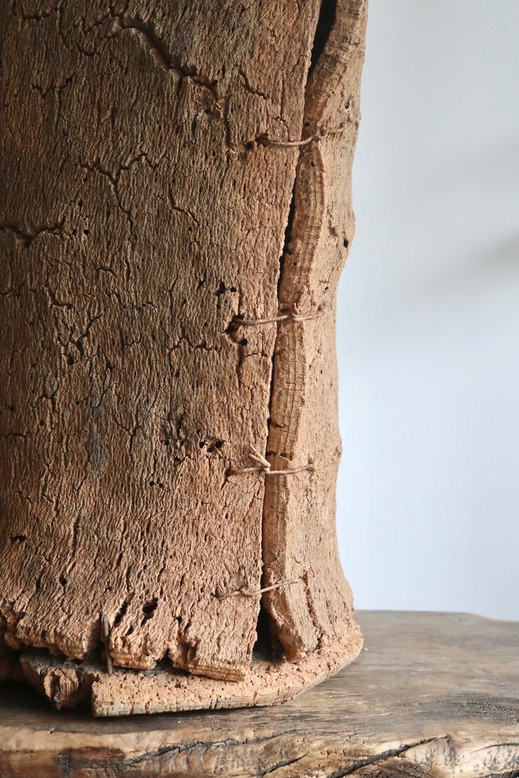 Close-up of a textured wooden surface with a white background