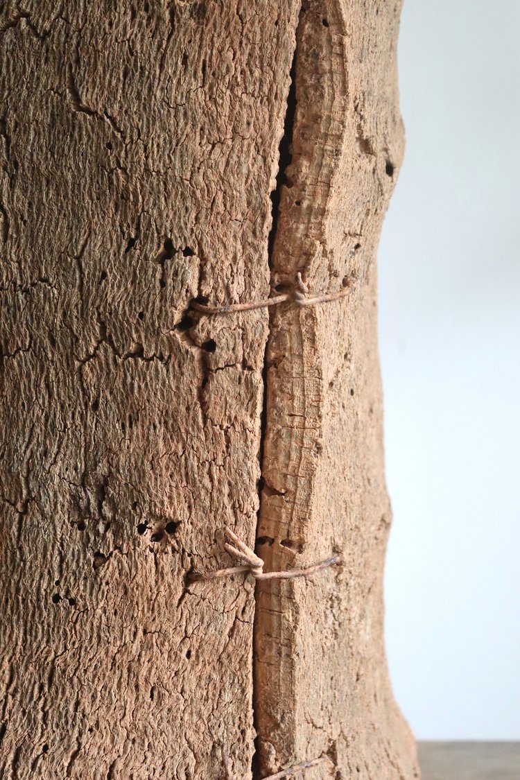 Close-up of a textured brown surface with a white background