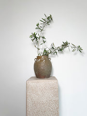 Antique Earthenware Preserve Pot