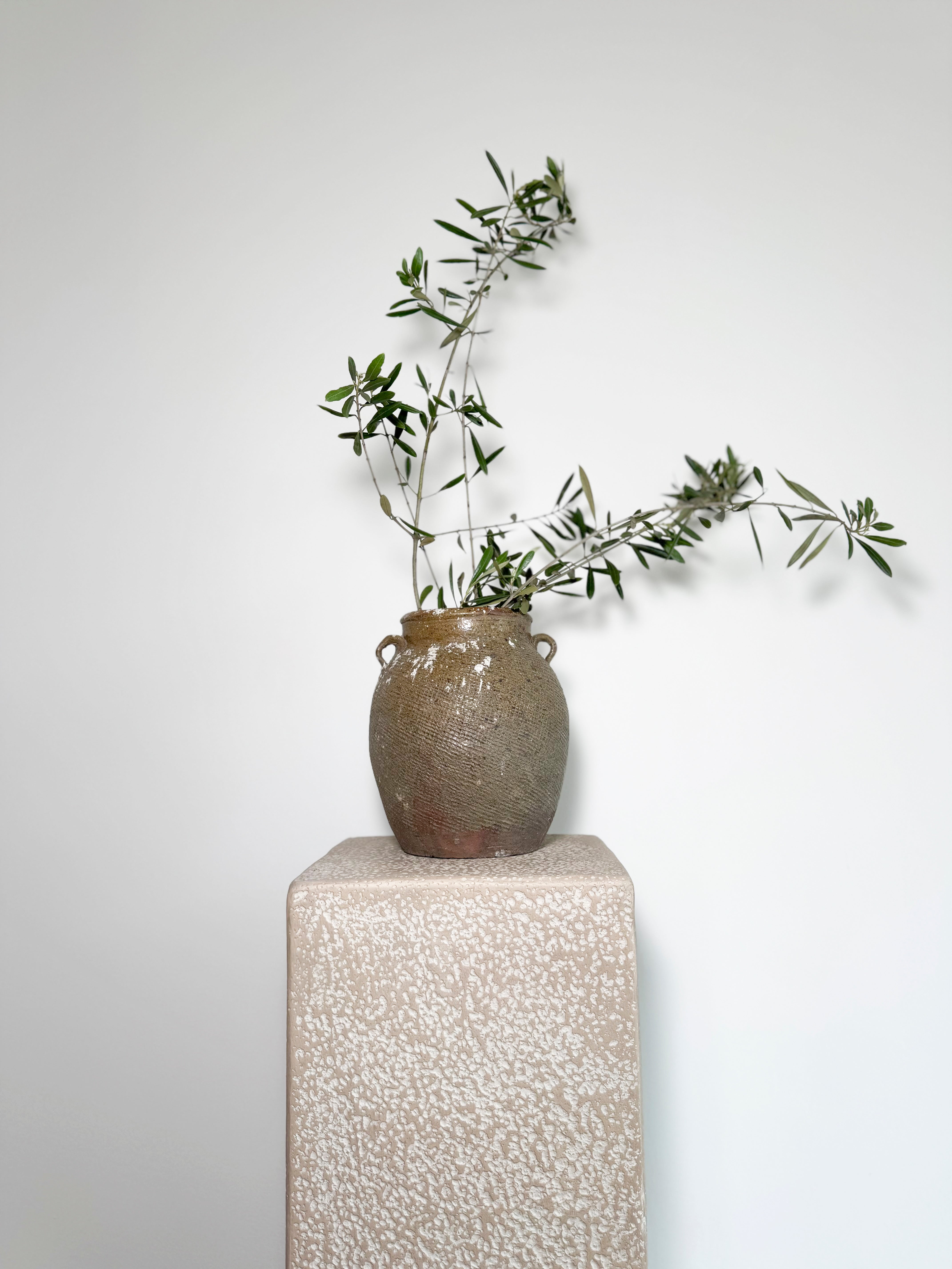 Antique Earthenware Preserve Pot