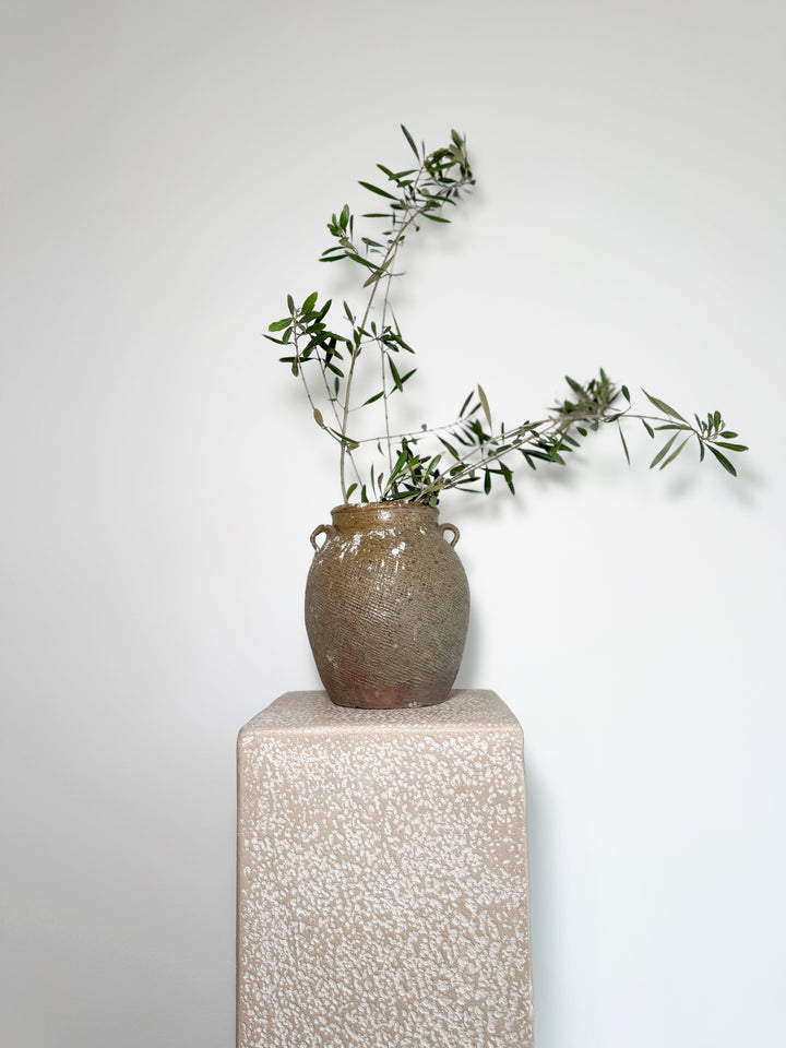 Antique Earthenware Preserve Pot