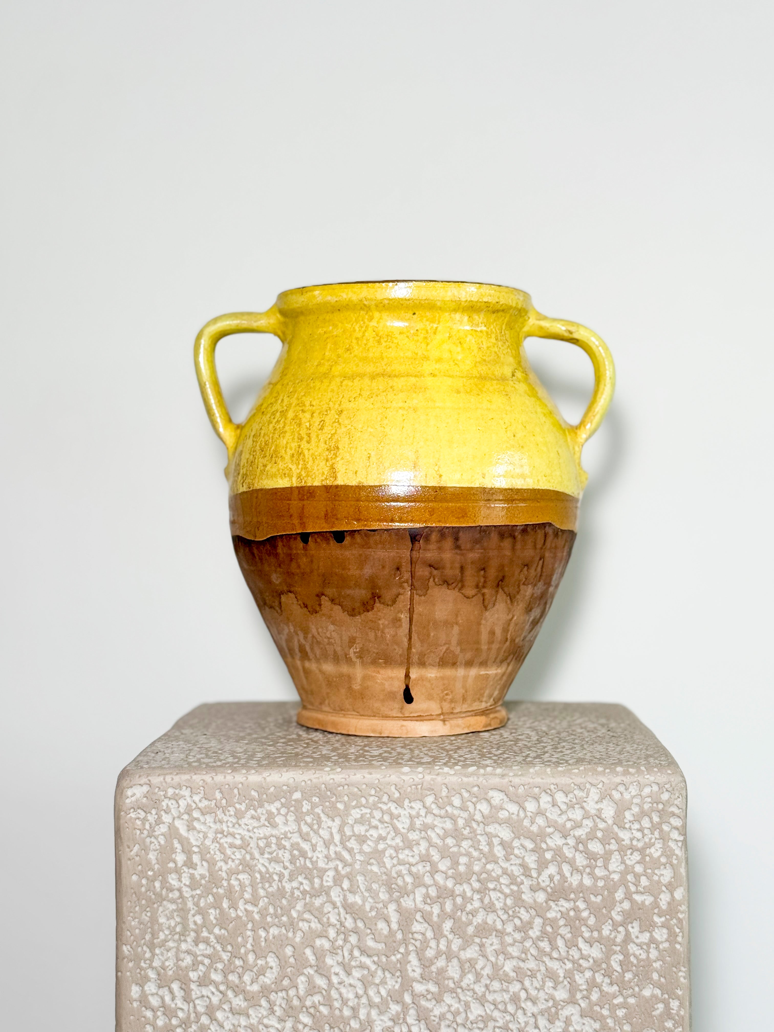 Hungarian confit pot with a mustard glaze