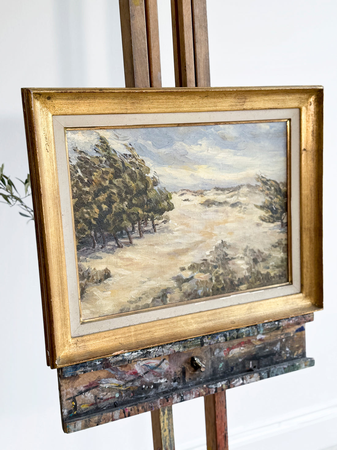 A Breeze in The Trees