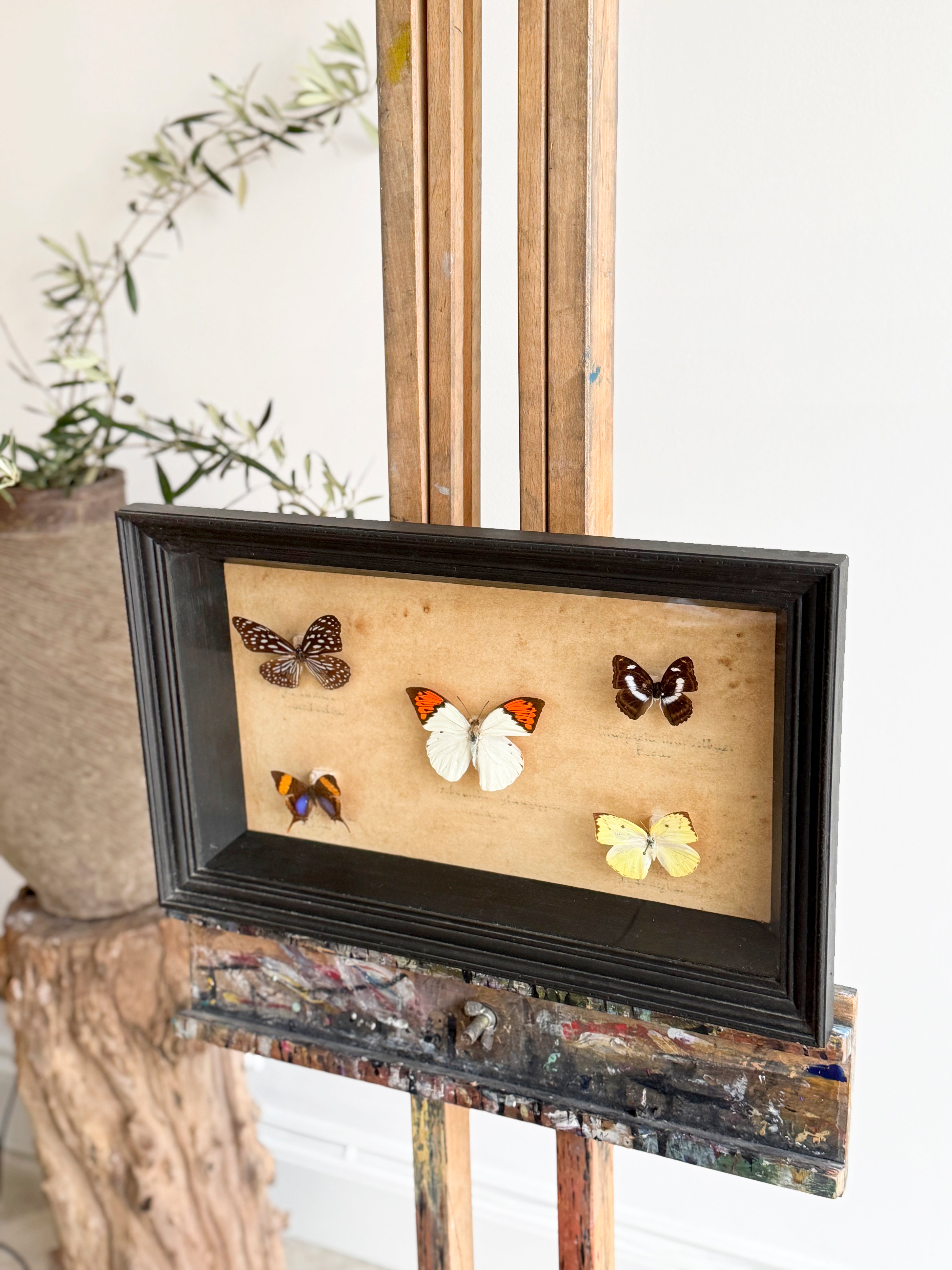 antiques London	
homeware shop London
interior styling objects London and Sussex
antique sourcing UK	
curated antiques	
antique homeware / antique homewares	
decorative antiques	
art and objects	
timeless home decor found objects decor
vintage home accessories
antique art	