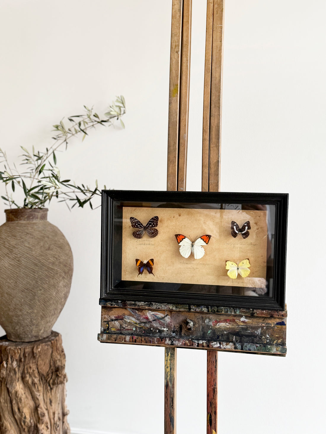 Butterfly figurines in a black frame on a wooden stand with a white background

antiques London	
homeware shop London
interior styling objects London and Sussex
antique sourcing UK	
curated antiques	
antique homeware / antique homewares	
decorative antiques	
art and objects	
timeless home decor found objects decor
vintage home accessories
antique art	